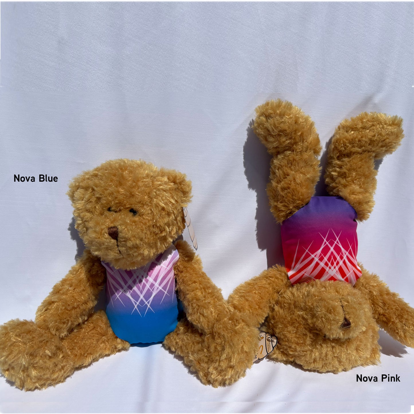 Nova Teddy Bear with Leotard
