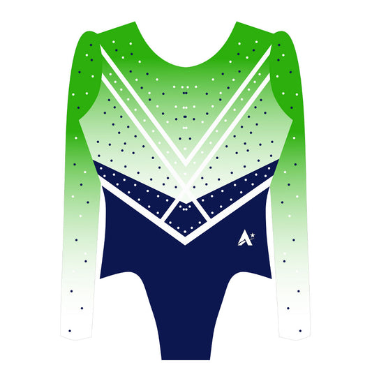 NORTHERN IRELAND - Long Sleeved leotard with linear details