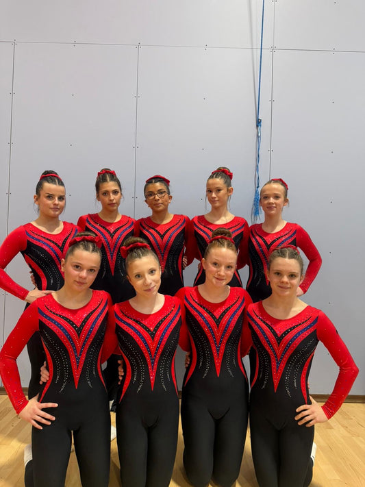 BASINGSTOKE TEAMGYM - Girls Competition Catsuit