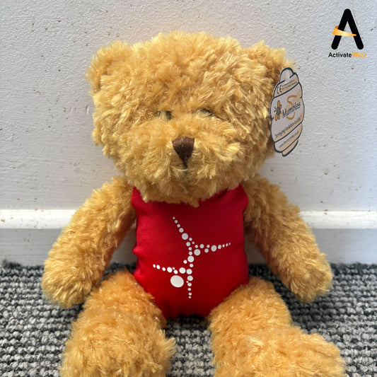 SOUTHAMPTON TEDDY