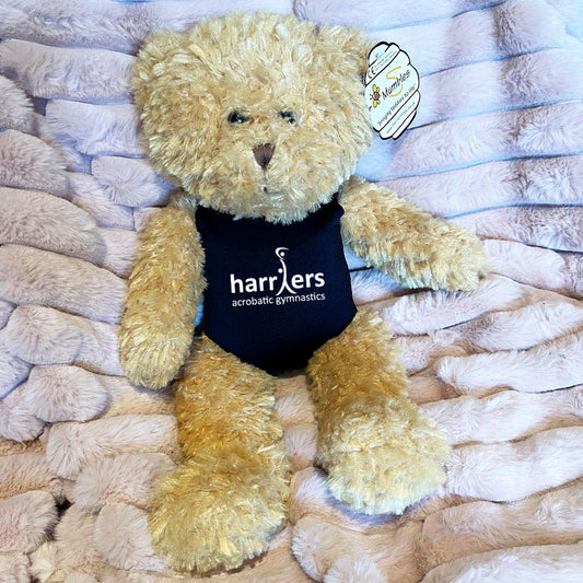 HARRIERS - Mascot Teddy